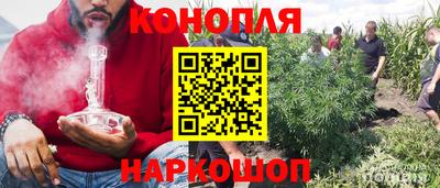 jwh Краснодар