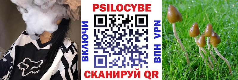 Галлюциногенные грибы GOLDEN TEACHER  наркота  маркетплейс телеграм  Дзержинский 