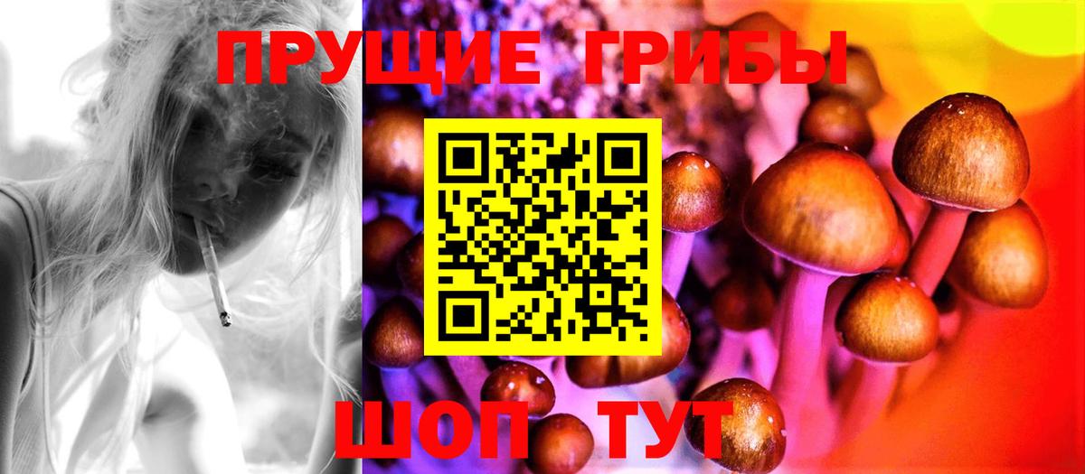 Дзержинский  Галлюциногенные грибы прущие грибы  Галлюциногенные грибы Magic Shrooms  Вход с VPN 